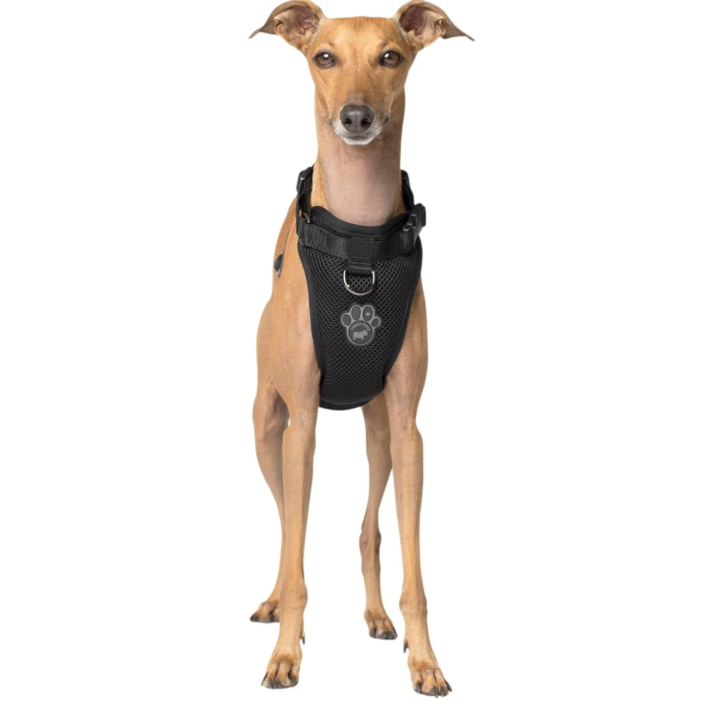 The Everything Mesh Harness Black