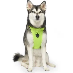 The Everything Mesh Neon Green Dog Harness