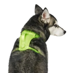 The Everything Mesh Neon Green Dog Harness