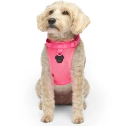 The Everything Mesh Neon Pink Dog Harness