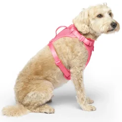 The Everything Mesh Neon Pink Dog Harness
