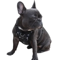 The Everything Water-Resistant Harness Splatter