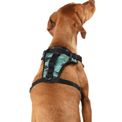 The Everything Water-Resistant Harness Camo