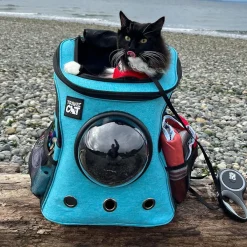 The Fat Cat Blue Backpack