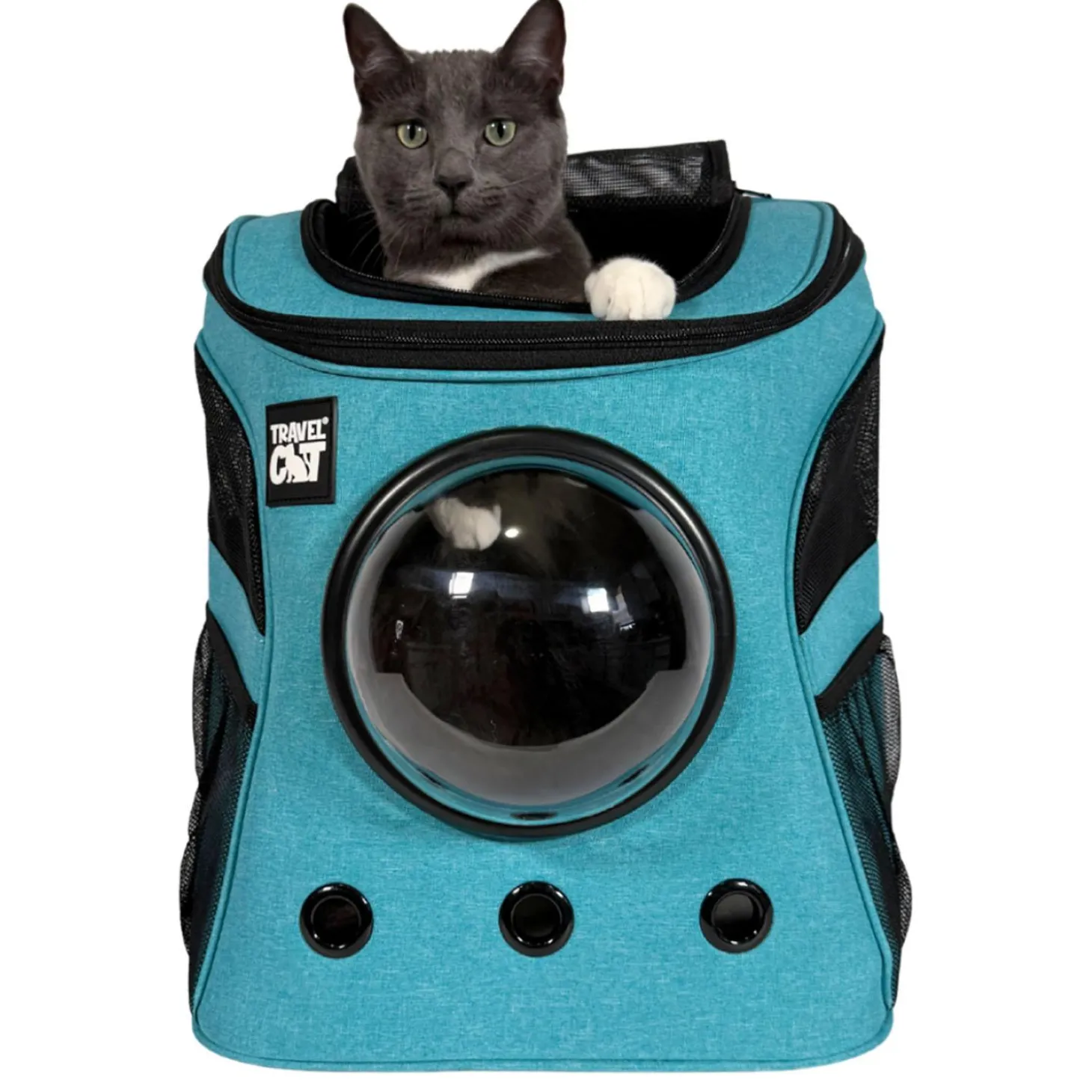 The Fat Cat Blue Backpack