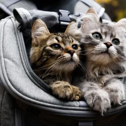 The Navigator Convertible Grey Cat Backpack