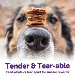 The Rewarding Life Lamb & Salmon Recipe Dog Treats