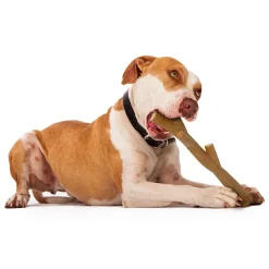 Throw Stick Tough Chew Dog Toy