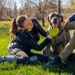 Tick Removal Yellow Mitt