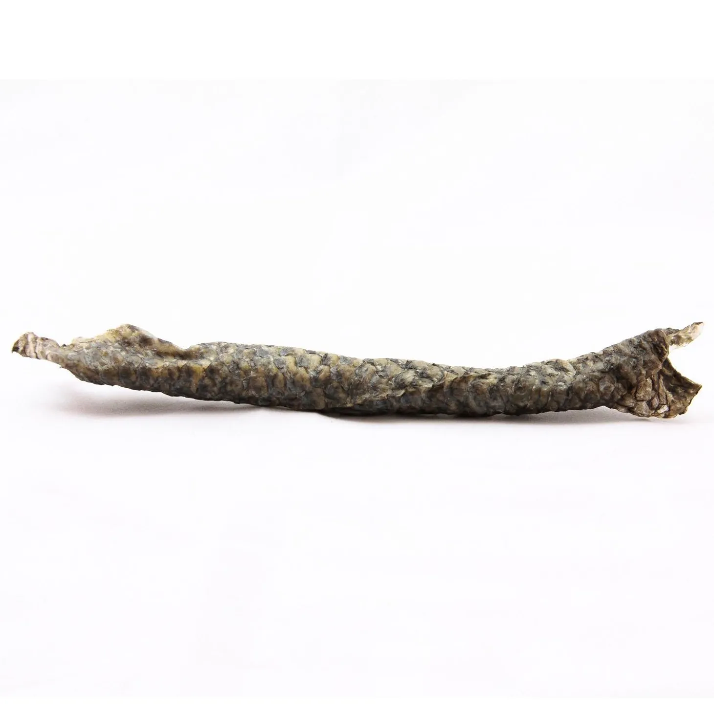 Tilapia Fish Skins Dog Treat