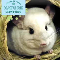 Timothy CLUB Small Animal Bungalow