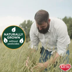 Timothy Hay for Small Animals