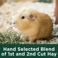 Timothy Hay for Small Animals