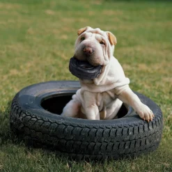 Tires Dog Toy