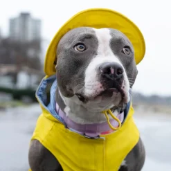 Torrential Tracker Yellow Rain Hat