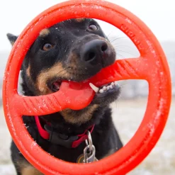 Toss-N-Tug Ring Dog Toy