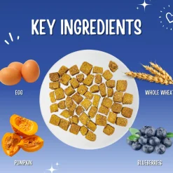 Trainers Blueberry & Pumpkin Dog Treats