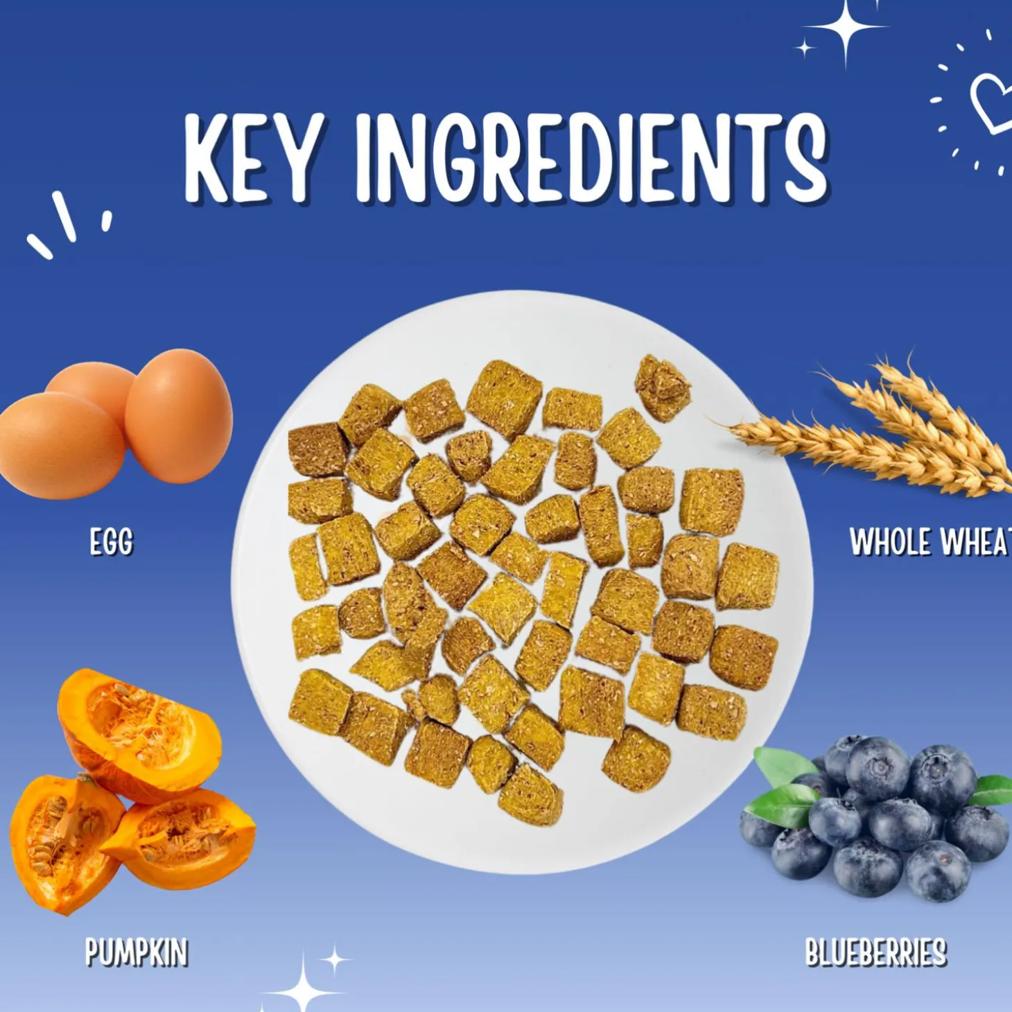 Trainers Blueberry & Pumpkin Dog Treats