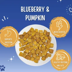 Trainers Blueberry & Pumpkin Dog Treats