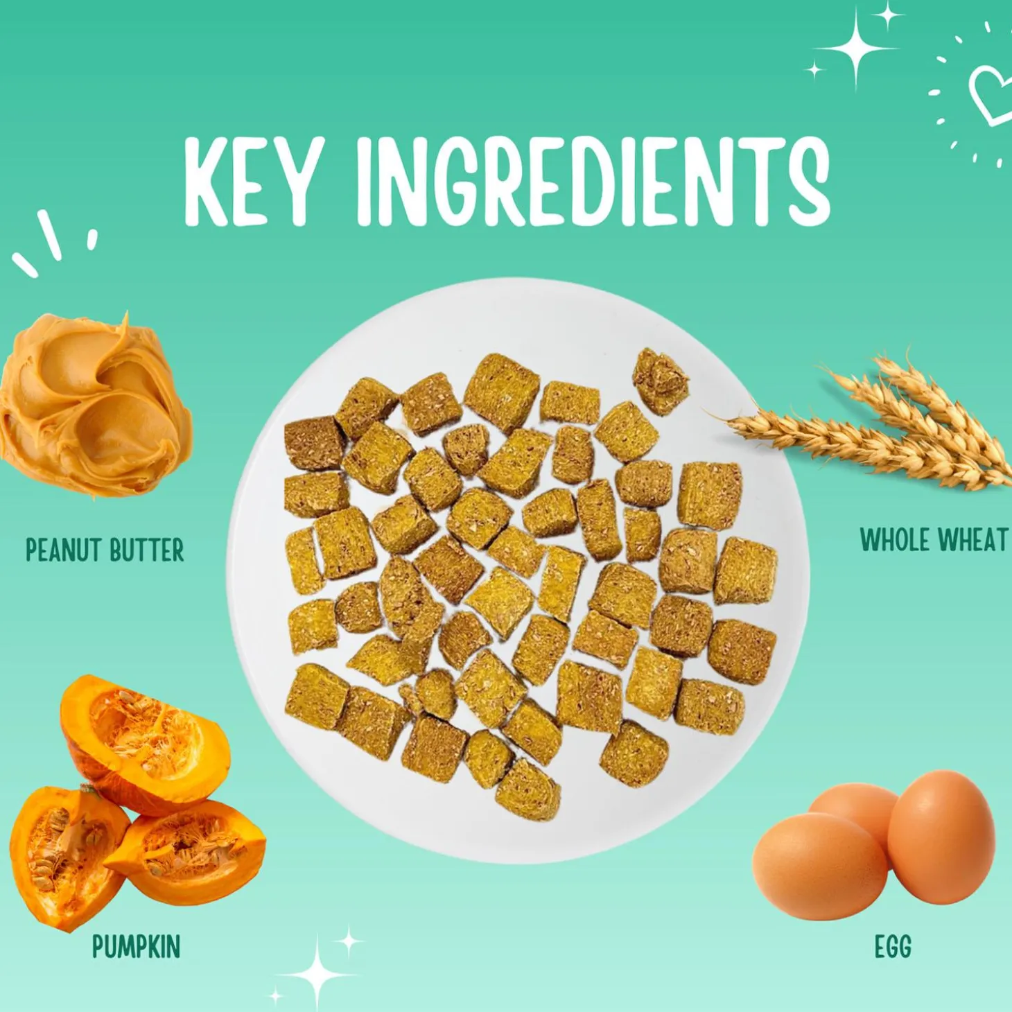 Trainers Peanut Butter & Pumpkin Dog Treats