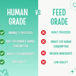 Trainers Peanut Butter & Pumpkin Dog Treats