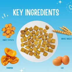 Trainers Sweet Potato & Pumpkin Dog Treats