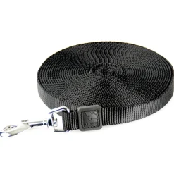 Training 5/8in Black Dog Lead