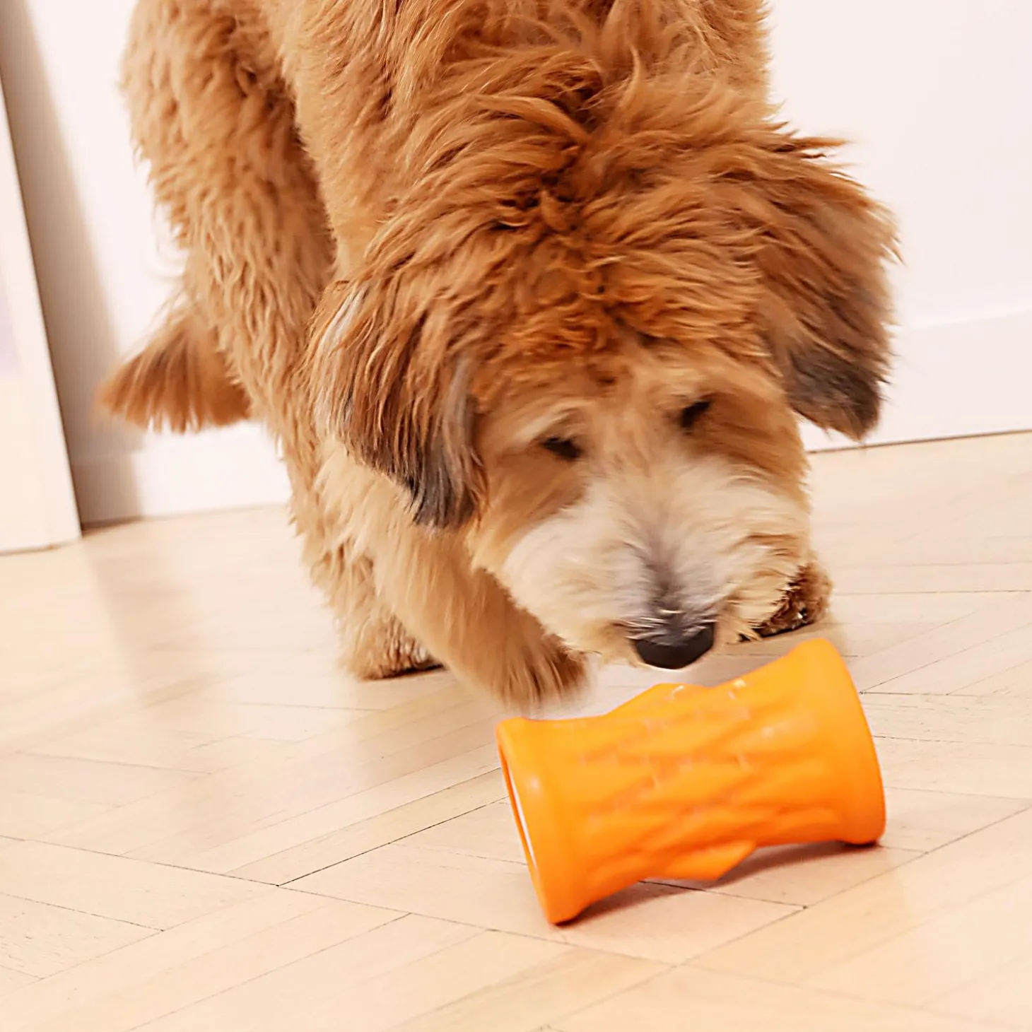 Tree Trunk Reward Dog Toy