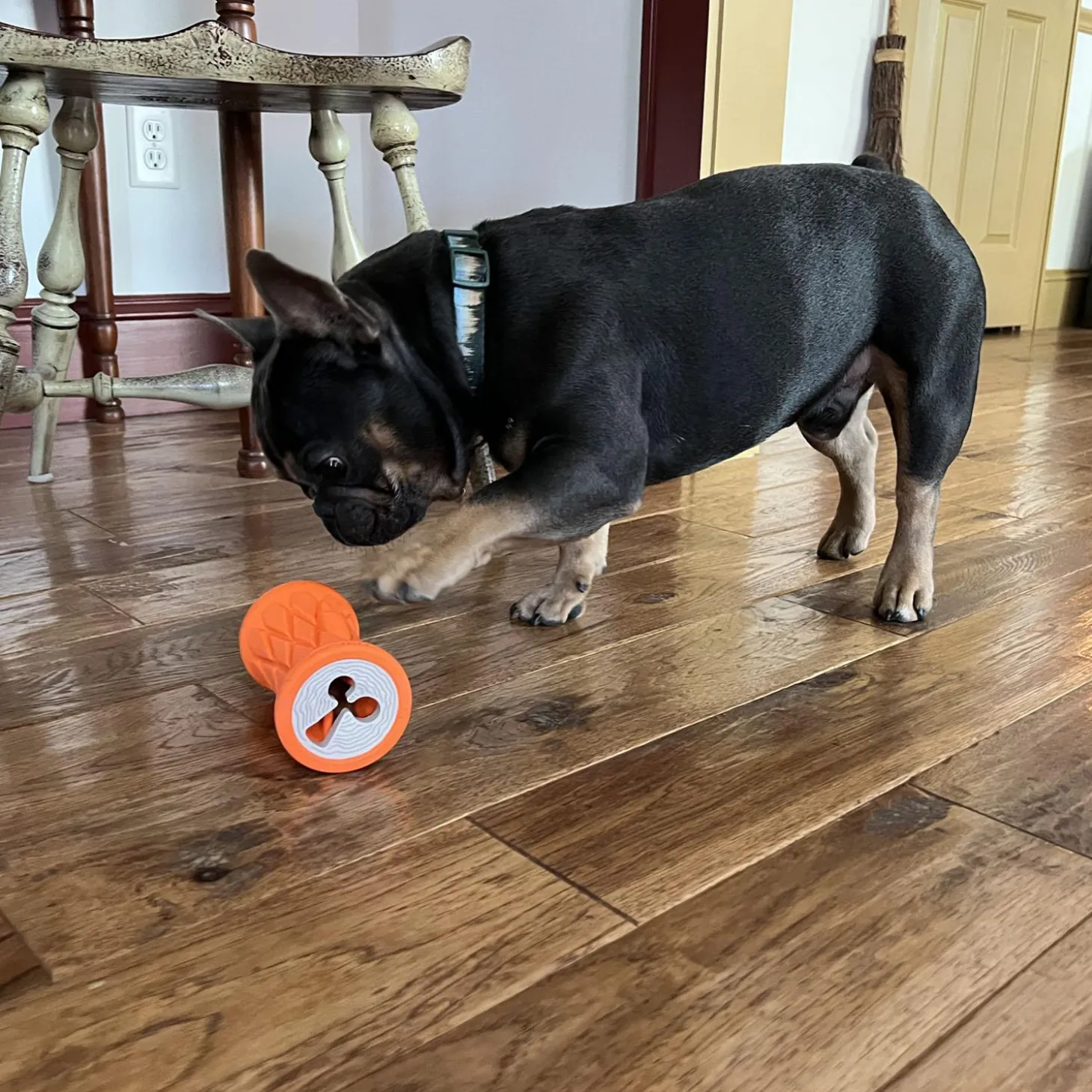 Tree Trunk Reward Dog Toy