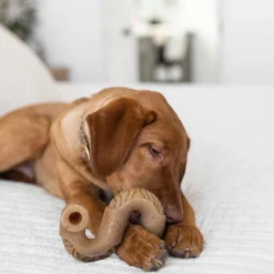 Tripe Bone Dog Toy
