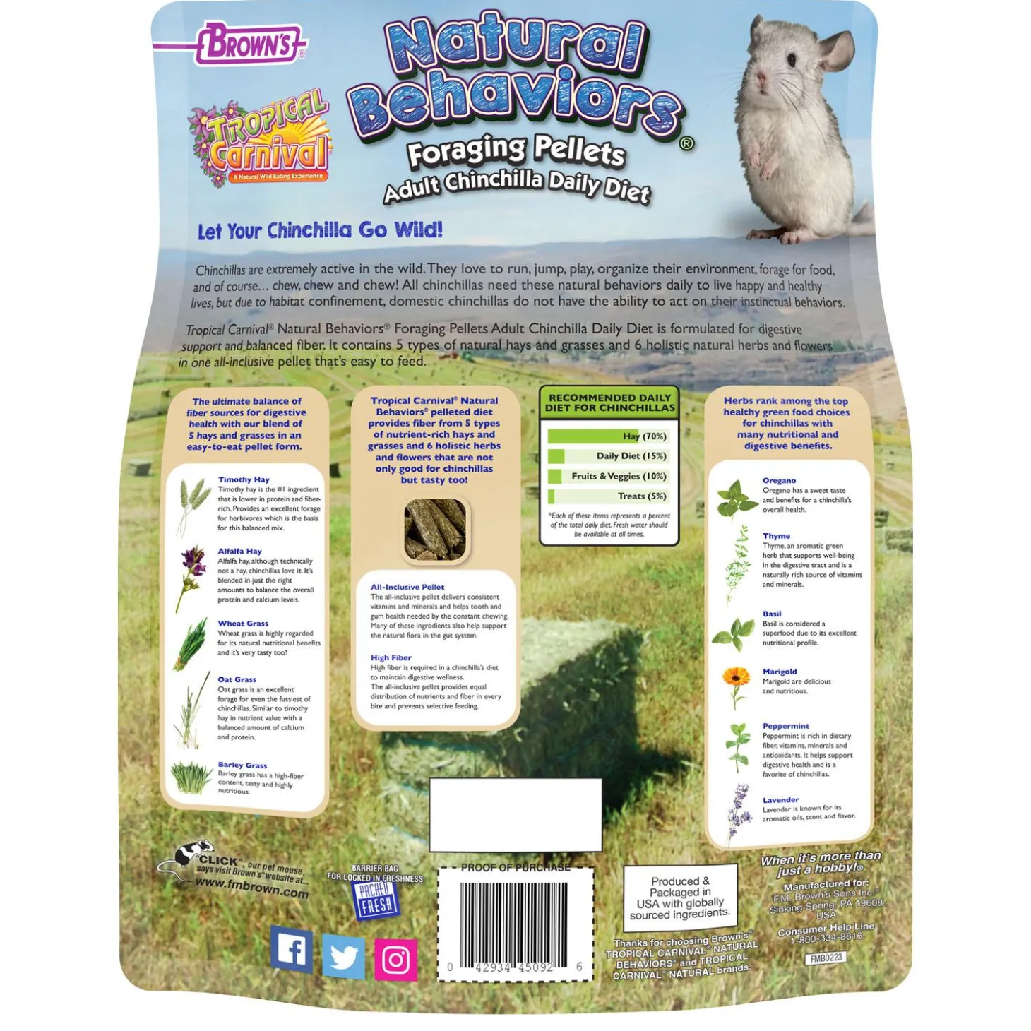 Tropical Carnival Natural Behaviors Foraging Pellets Adult Chinchilla Food