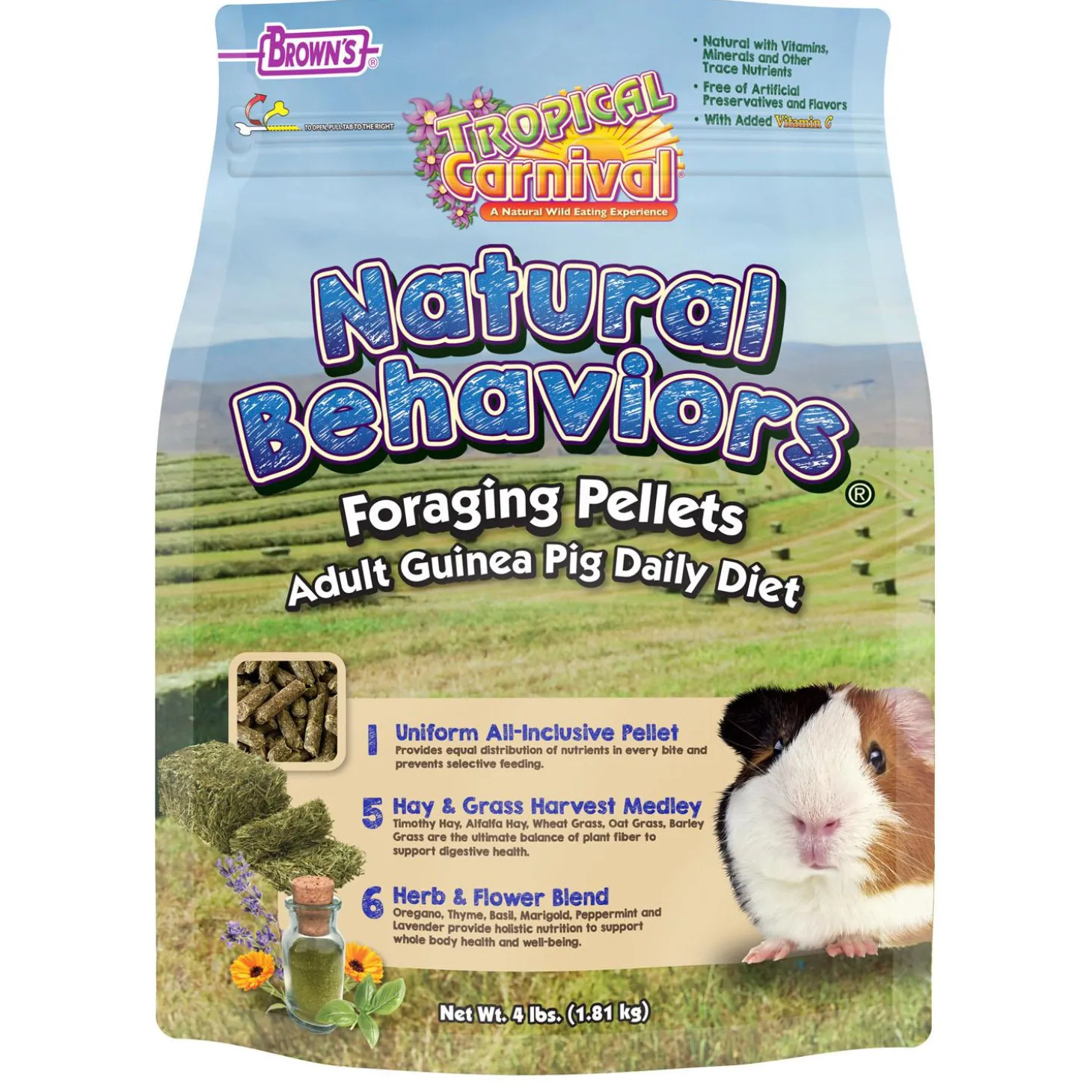 Tropical Carnival Natural Behaviors Foraging Pellets Adult Guinea Pig Food