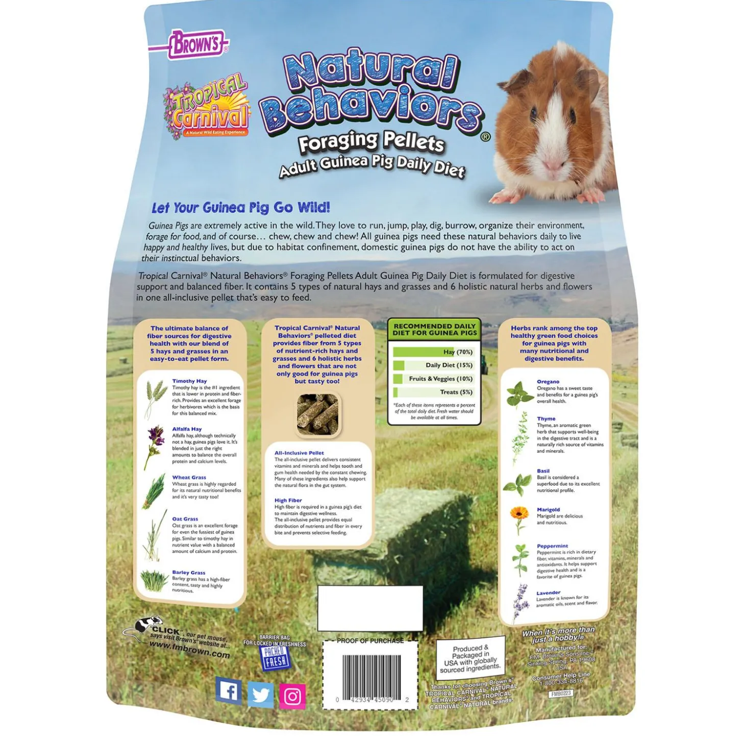 Tropical Carnival Natural Behaviors Foraging Pellets Adult Guinea Pig Food