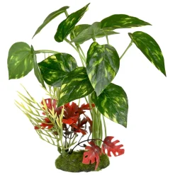 Tropical Gardens Pothos Variegated Leaf Cluster