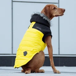 True North Yellow Parka