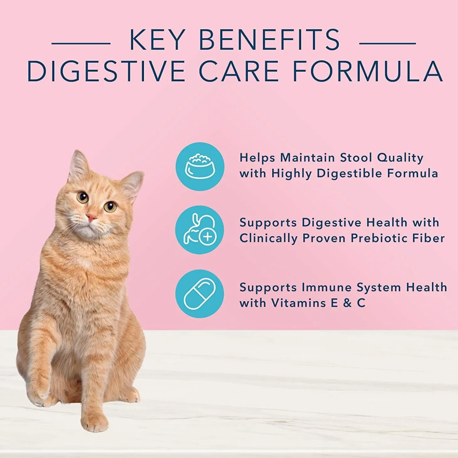 True Solutions Digestive Care Chicken Formula Adult Cat Food