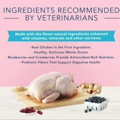 True Solutions Digestive Care Chicken Formula Adult Cat Food