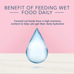 True Solutions Digestive Care Formula Adult Cat Food