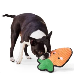 Tuff Carrot Dog Toy