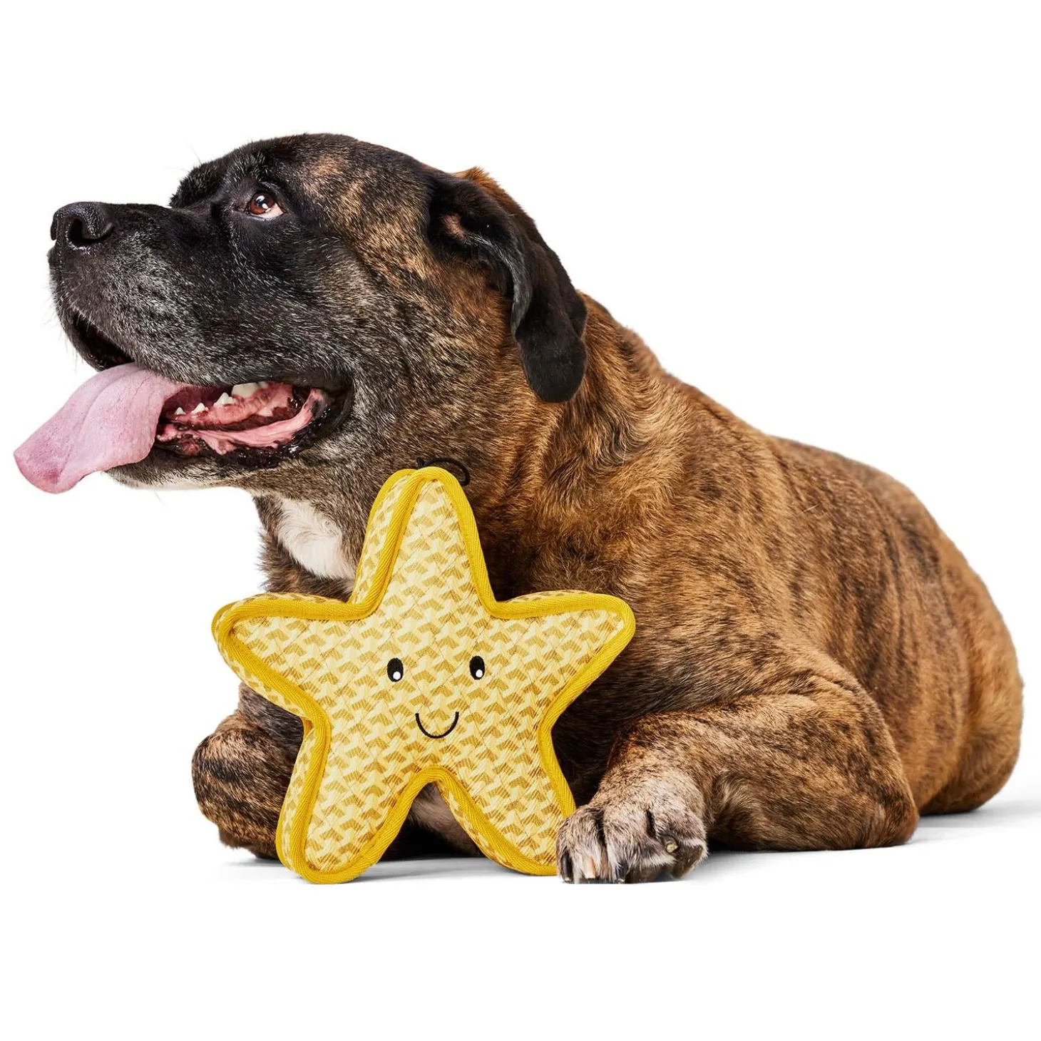 Tuff Starfish Dog Toy