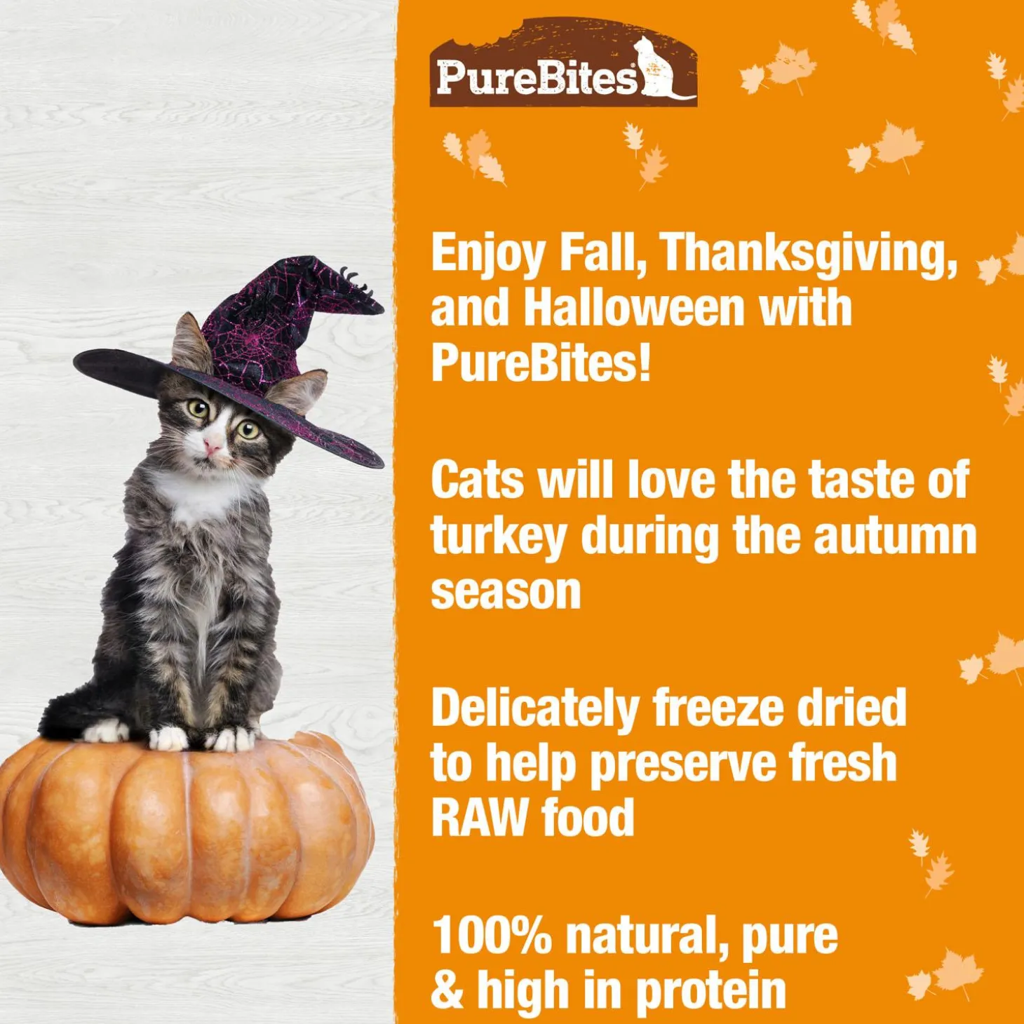 Turkey Snacks Cat Treats