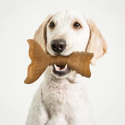 Twist Tail Tough Chew Dog Toy