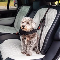 Ultimate Safety Black Tether Dog Seatbelt