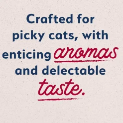 Ultra Premium Salmon Formula Cat Food