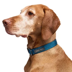 Utility Blue Camo Dog Collar