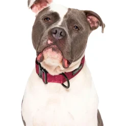 Utility Purple Camo Dog Collar