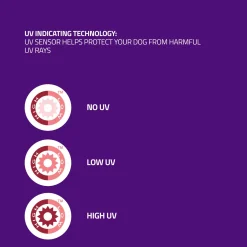 UV Tent with Collapsible Water Bowl