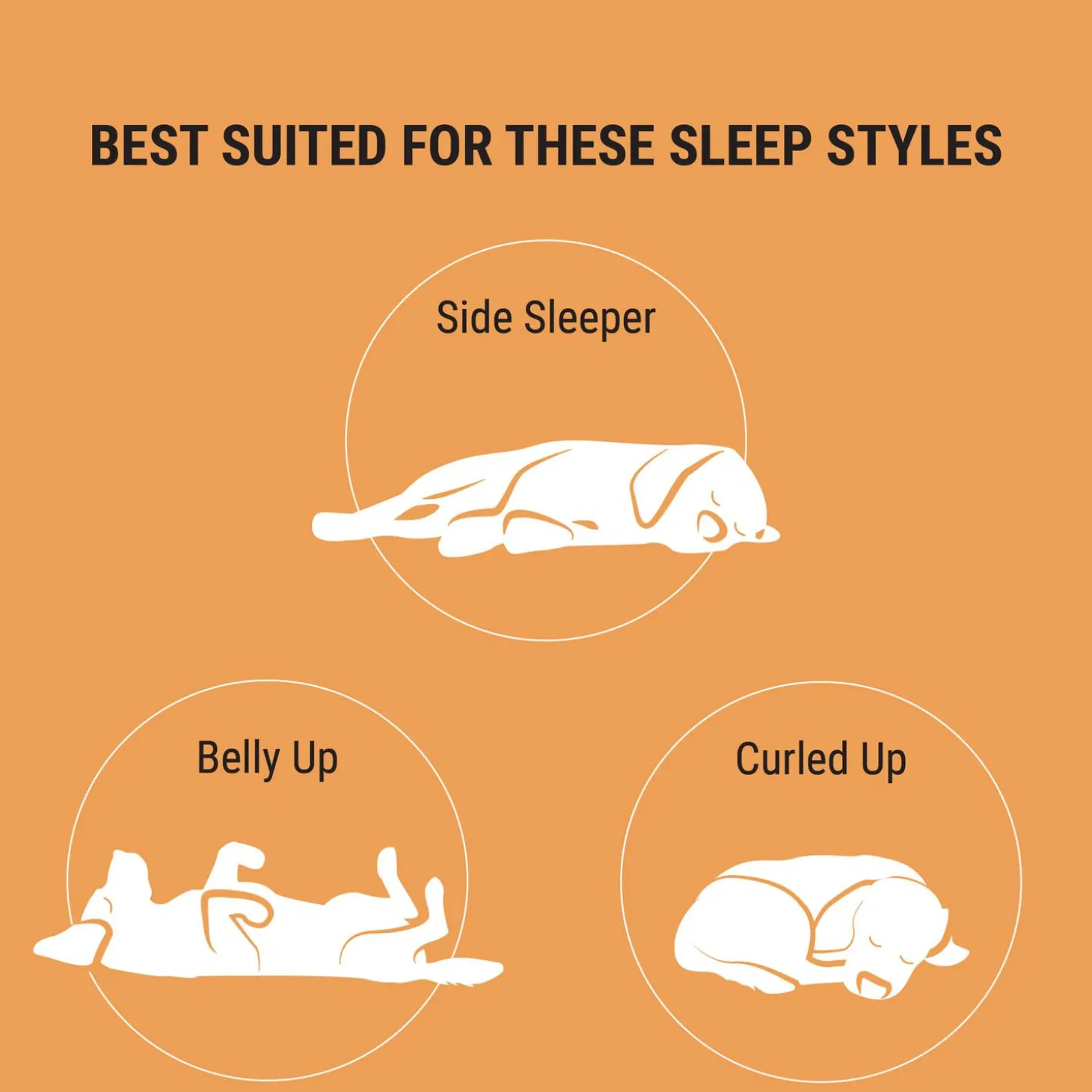 Velvet Chaise Emerald Green Bed