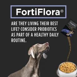 Veterinary FortiFlora Probiotic Powdered Dog Supplements