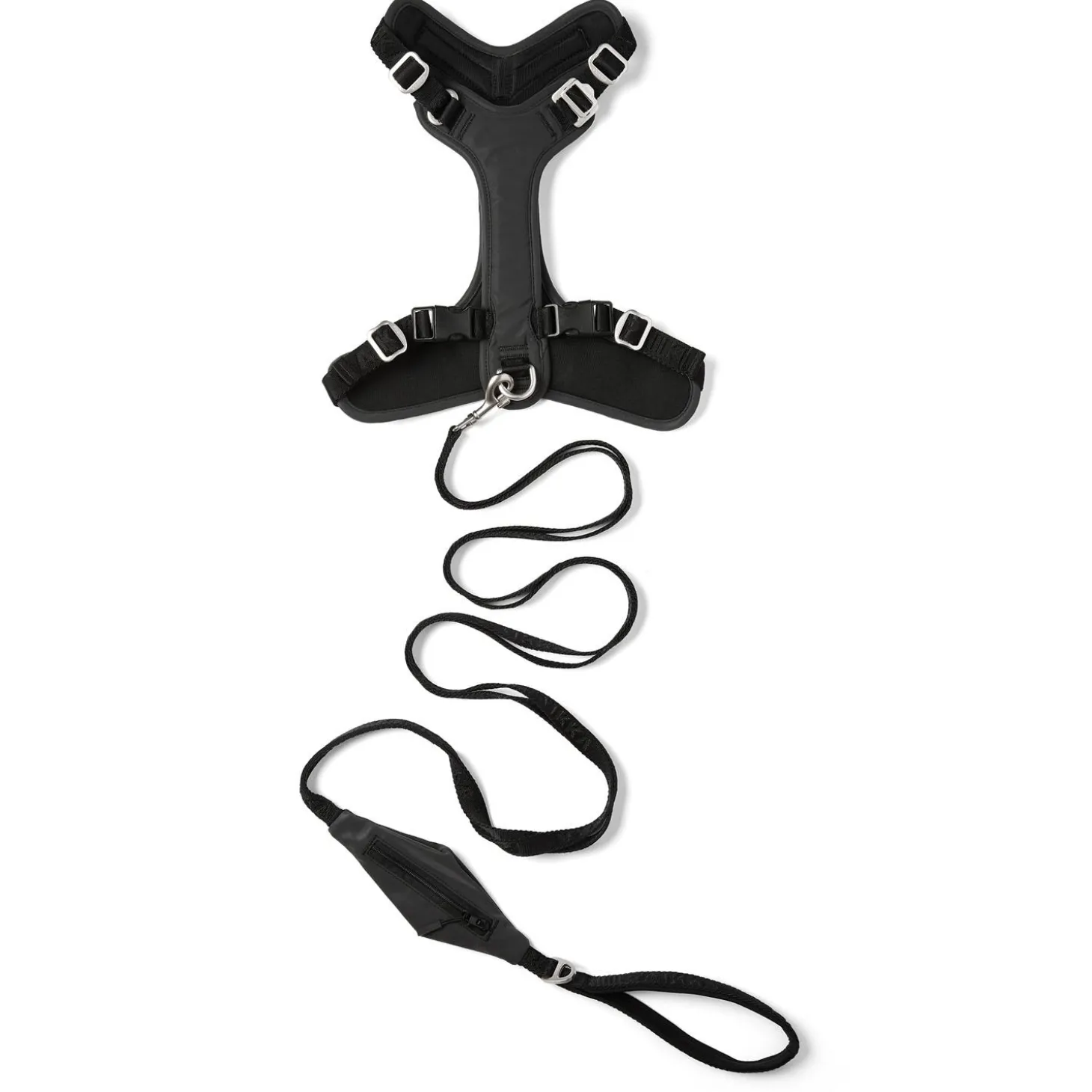 Visibility Black Dog Leash